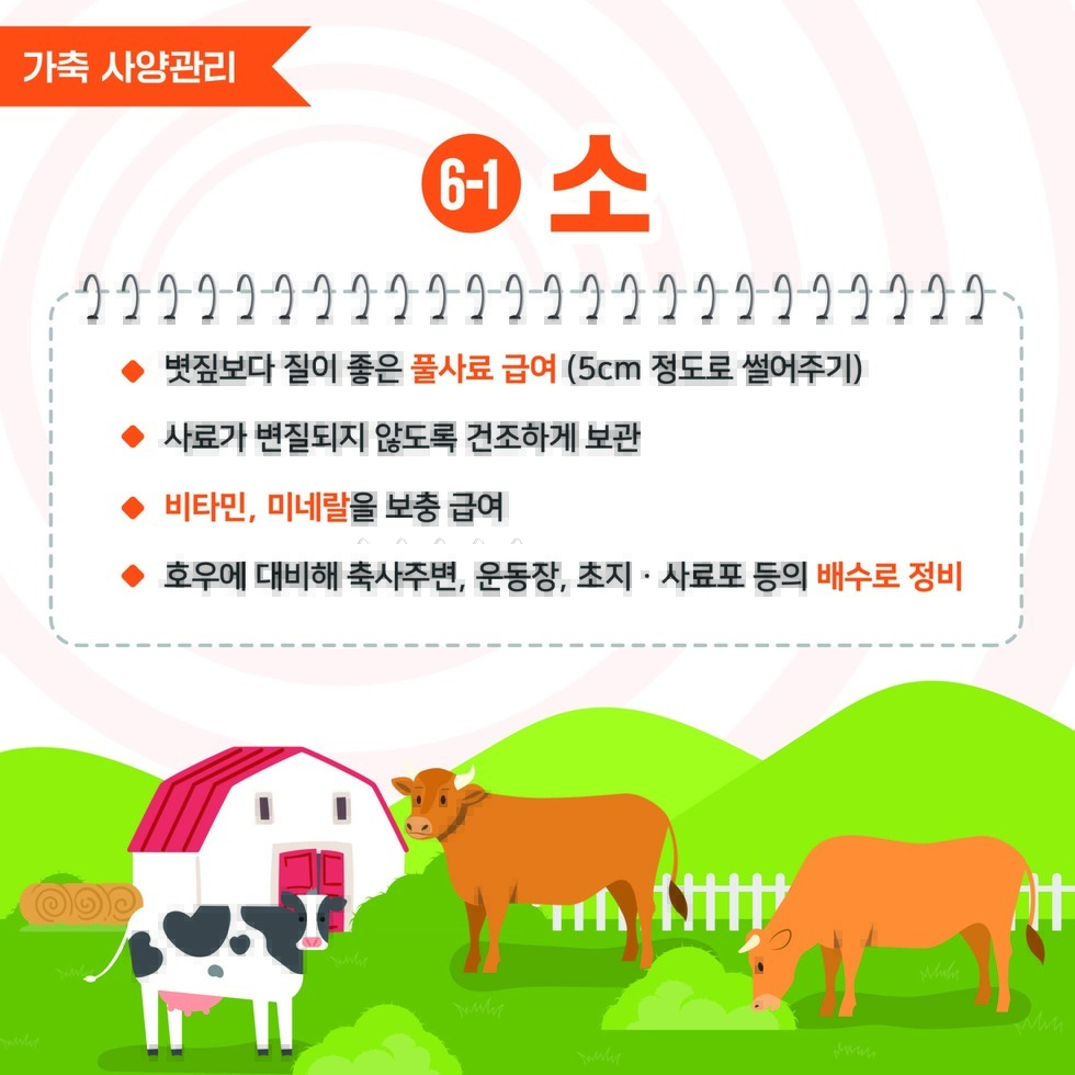 여름철 폭염대비