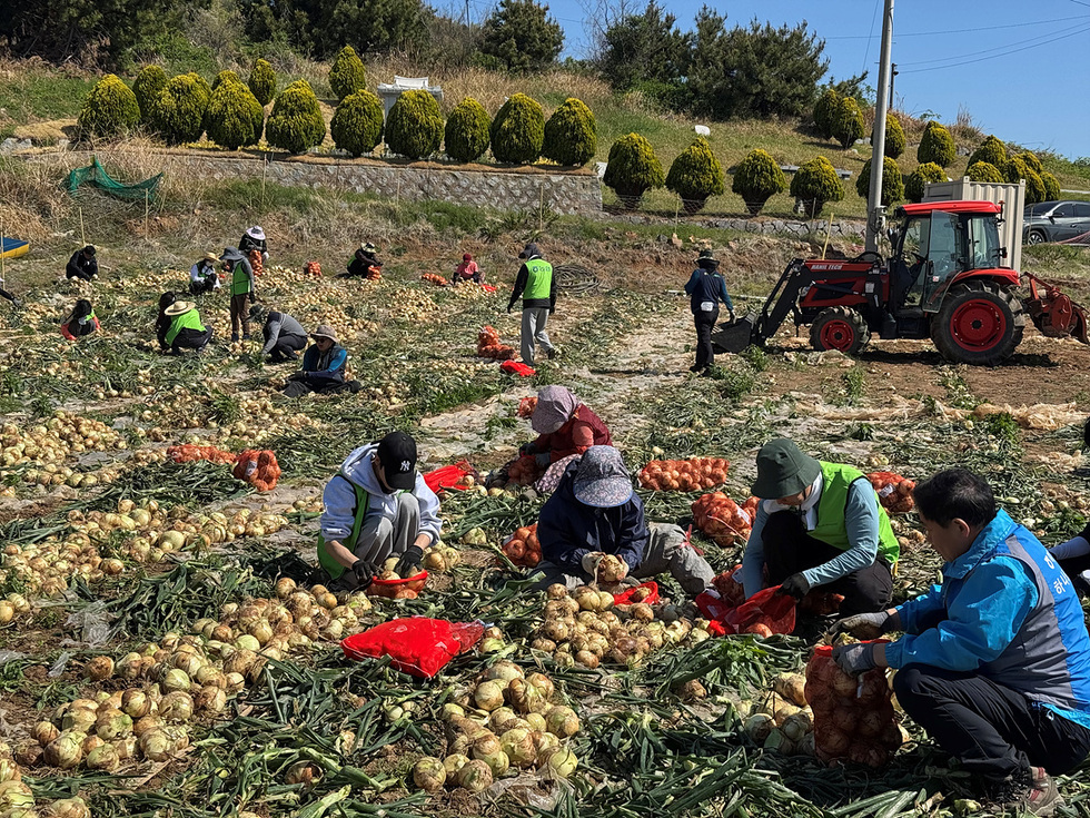여수시 농업기술센터, 봄철 농번기 농촌 일손 지원 ‘앞장’