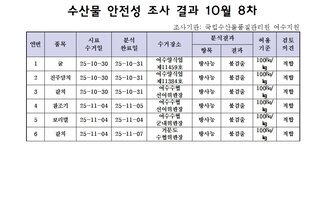 수산물 안전성 조사 결과 10월 8차 조사기관: 국립수산물품질관리원 여수지원 표 설명: 연번순으로 품목, 시료 수거일, 분석 완료일, 수거장소, 분석 결과, 허용 기준, 검토 의견으로 나열 되어 있습니다.  연번 : 1 ,품목 :굴, 시료 수거일 25년 10월 30일, 분석 완료일 25년 10월 31일, 수거장소 여수양식업 제 11459호, 분석결과 항목 : 방사능 ,결과 :불검출, 허용기준 100bq/kg, 검토의견 :적합   연번 : 2 ,품목 :진주담치, 시료 수거일 25년 10월 30일, 분석 완료일 25년 10월 31일, 수거장소 여수양식업 제 11384호, 분석결과 항목 : 방사능 ,결과 :불검출, 허용기준 100bq/kg, 검토의견 :적합  연번 : 3 ,품목 :갈치, 시료 수거일 25년 10월 30일, 분석 완료일 25년 10월 31일, 수거장소 여수수협 선어위판장, 분석결과 항목 : 방사능방사능 ,결과 :불검출, 허용기준 100bq/kg, 검토의견 :적합  연번 : 4 ,품목 :참조기, 시료 수거일 25년 11월 04일, 분석 완료일 25년 11월 05일, 수거장소 여수수협 선어위판장, 분석결과 항목 : 방사능방사능 ,결과 :불검출, 허용기준 100bq/kg, 검토의견 :적합   연번 : 5 ,품목 :보리멸, 시료 수거일 25년 11월 04일, 분석 완료일 25년 11월 04일, 수거장소 여수수협 군내위판장, 분석결과 항목 : 방사능방사능 ,결과 :불검출, 허용기준 100bq/kg, 검토의견 :적합   연번 : 6 ,품목 :갈치, 시료 수거일 25년 11월 04일, 분석 완료일 25년 11월 07일, 수거장소 여수수협 수협위판장, 분석결과 항목 : 방사능방사능 ,결과 :불검출, 허용기준 100bq/kg, 검토의견 :적합  