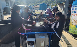 여수시, 벼농사 시작은 ‘안전 육묘’부터 볍씨 소독 현장기술지원