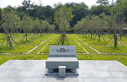 수목형으로 자연장지한 모습