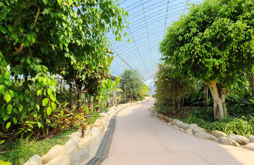 길 양쪽에 푸른나무들이 서 있는 모습