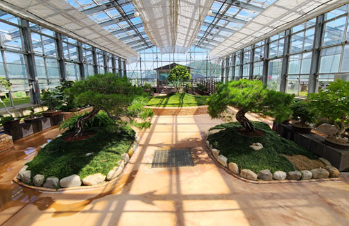 분재전시관 내부 모습