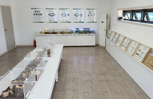 곤충사육장 내부 모습