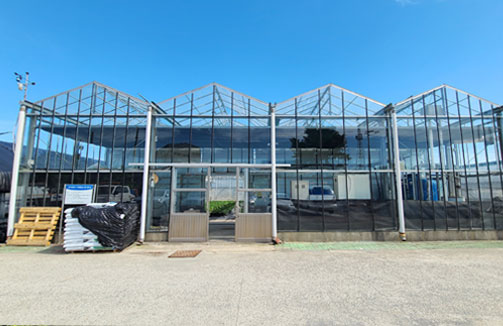 조직배양묘 증식온실 외관 모습