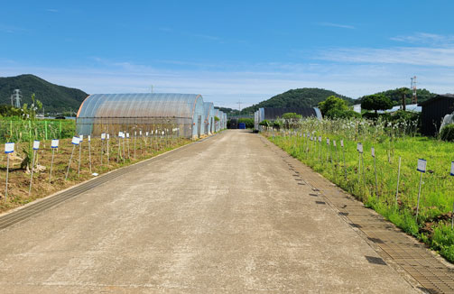돌산갓 연구 시험포 교육장 외부 모습