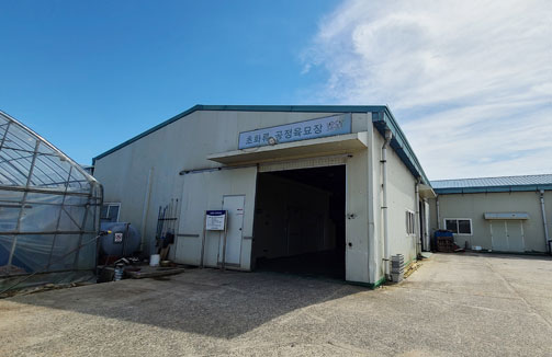 공정육묘장 외관 모습