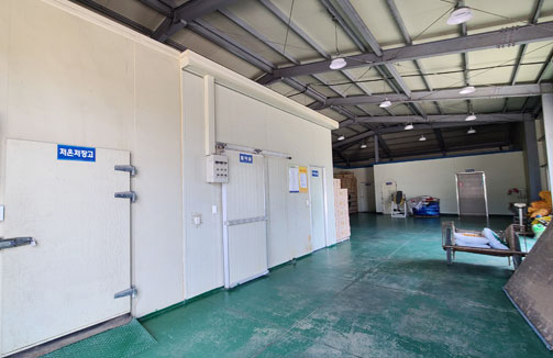 공정육묘장 내부 모습