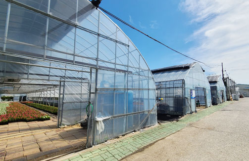 꾳육묘하우스 외관 모습