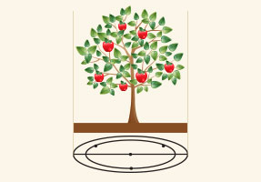 사과나무 아래 원두개가 그려져있다
