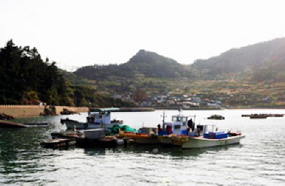 손죽도 앞바다에 배가 정박되어 있는 모습