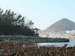 수중성으로 걸어 들어갈 수 있는 돌길 모습