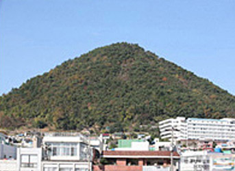 주택가 뒤로 높게 솟아있는 종고산 모습