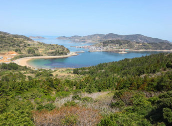 산에서 내려다면 거문도 전경