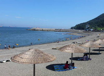 만성리 해수욕장에 설치되어있는 파라솔 아래에서 관광객들이 휴식을 취하고 있는 모습