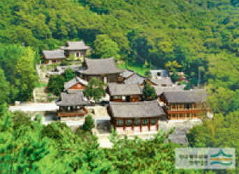 초록빛 나무들에 둘러 쌓여있는 흥국사 전경