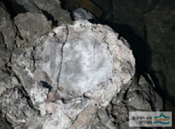 동굴에 있는 화석