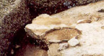 손죽도 조개더미