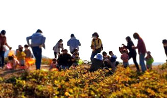 농촌 수확물 체험하는 모습