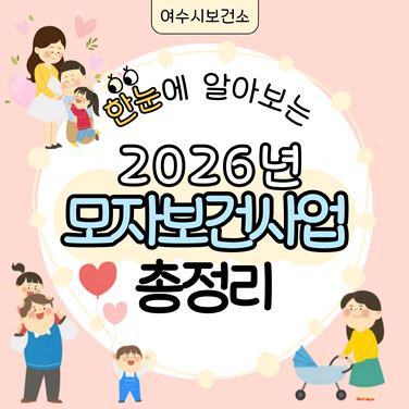 한눈에 알아보는 모자보건사업