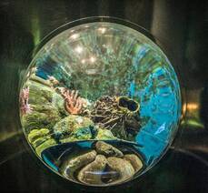 여수해양수산과학관