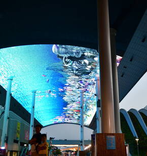 여수 엑스포의 추억