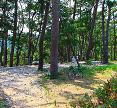 방죽포해수욕장