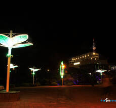 여수야경_돌산공원4