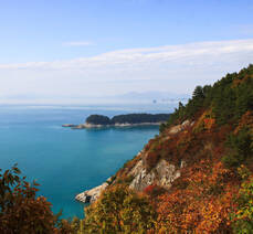 소선우방풍꽃게장 