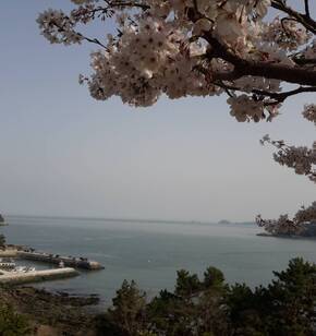 아름다운 여수의 봄