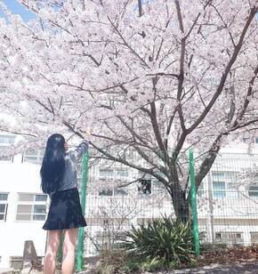 점심시간에 살짝쿵