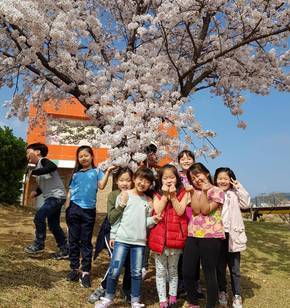 벚꽃휘날리며...