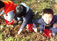 두문 어촌체험마을