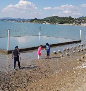 여수 갯벌 노을 축제 아이들과 즐거운 시간을 보내고 왔어요.