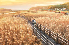 가사리생태공원