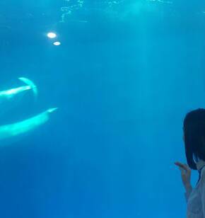 여수 아쿠아플라넷