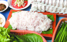 하모 사시미(갯장어)