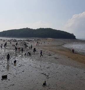 여수 갯벌 노을 축제 