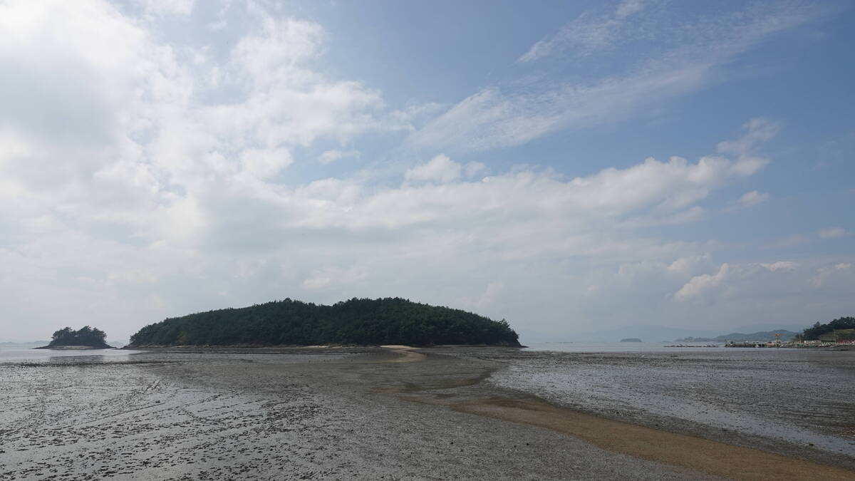 여자만 바다 전경