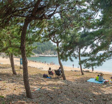 방죽포 해수욕장