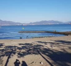 여수 만성리 검은모래 해수욕장