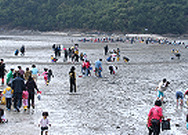 여수갯벌노을마을(장척갯벌체험)