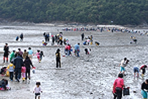 여수갯벌노을마을(장척갯벌체험)의 1번째 이미지