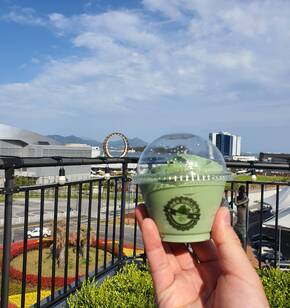 해풍쑥 아이스크림