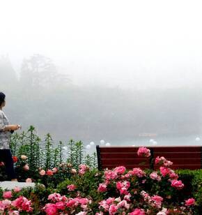 안개낀 성산공원~