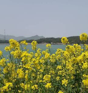 잘 알려지지 않은 낭도.  낭도에도 멋진 풍경이 있는걸 알려드리고 싶어요