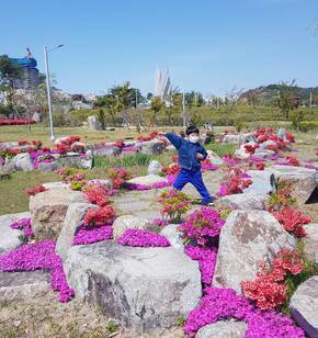 예쁜 봄꽃이 피었습니다~