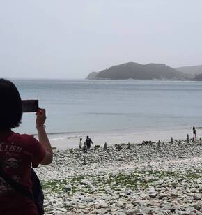 4인이되어서 방문