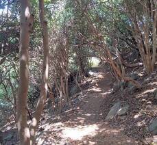 여수여행과 금오도 비렁3일