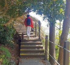 여수여행과 금오도 비렁3일